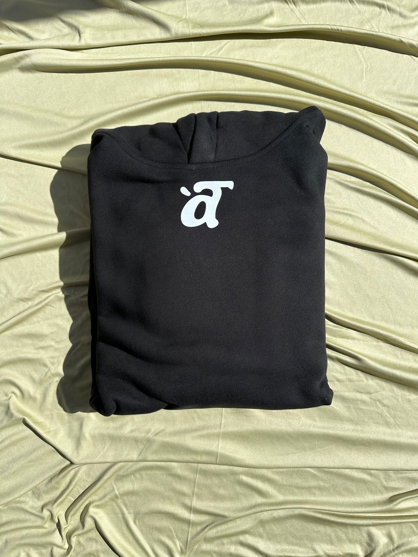 a Terre Logo Hoodie - Black