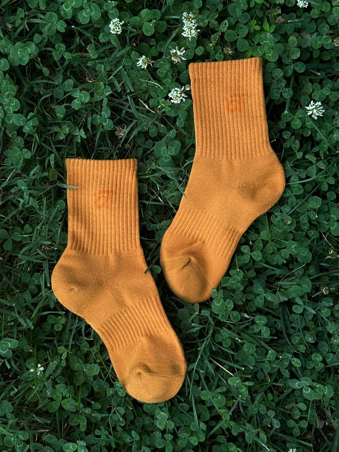 The Dance Sock - Supportive (arch support)