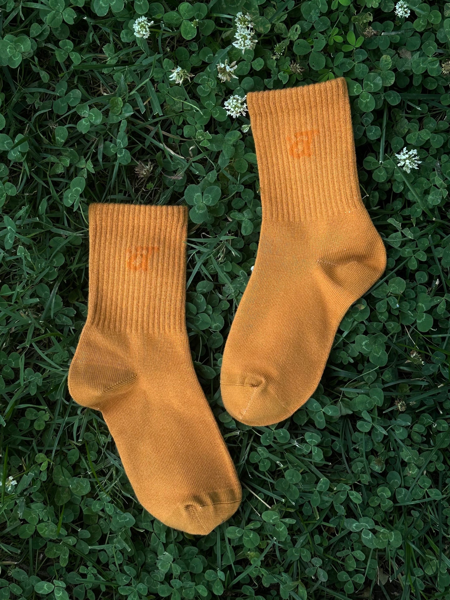 The Dance Sock - Basic (no arch support)