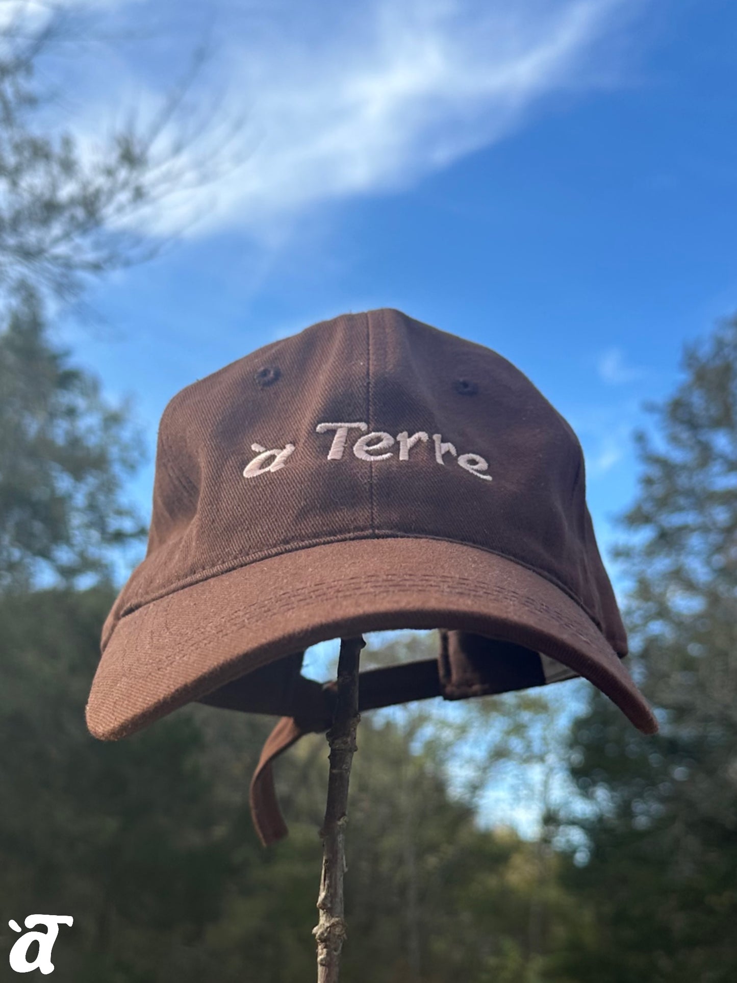 a Terre Merch Baseball Hat - Brown/Pink