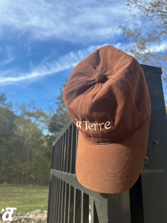 a Terre Merch Baseball Hat - Brown/Pink